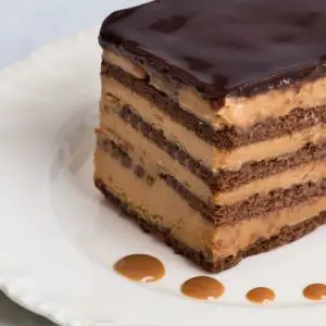 [TORT-04] CHOCOTORTA