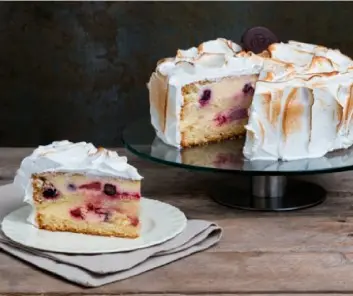 [TORT-06] CITRON ET BERRIES